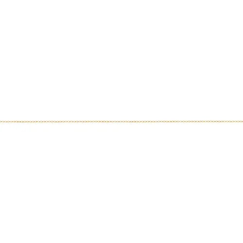 AMJ FOREVER Rolo Chain - Gold